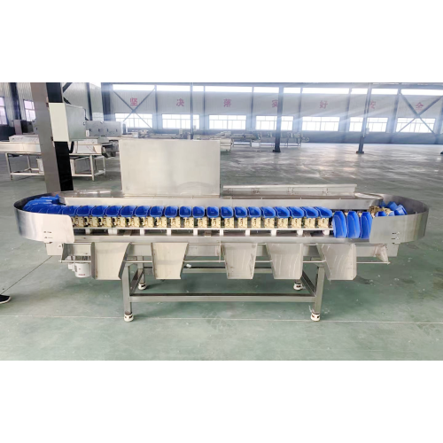 Electronic Intelligent Fruits Grading Machine Clasificador